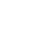 action-icon2